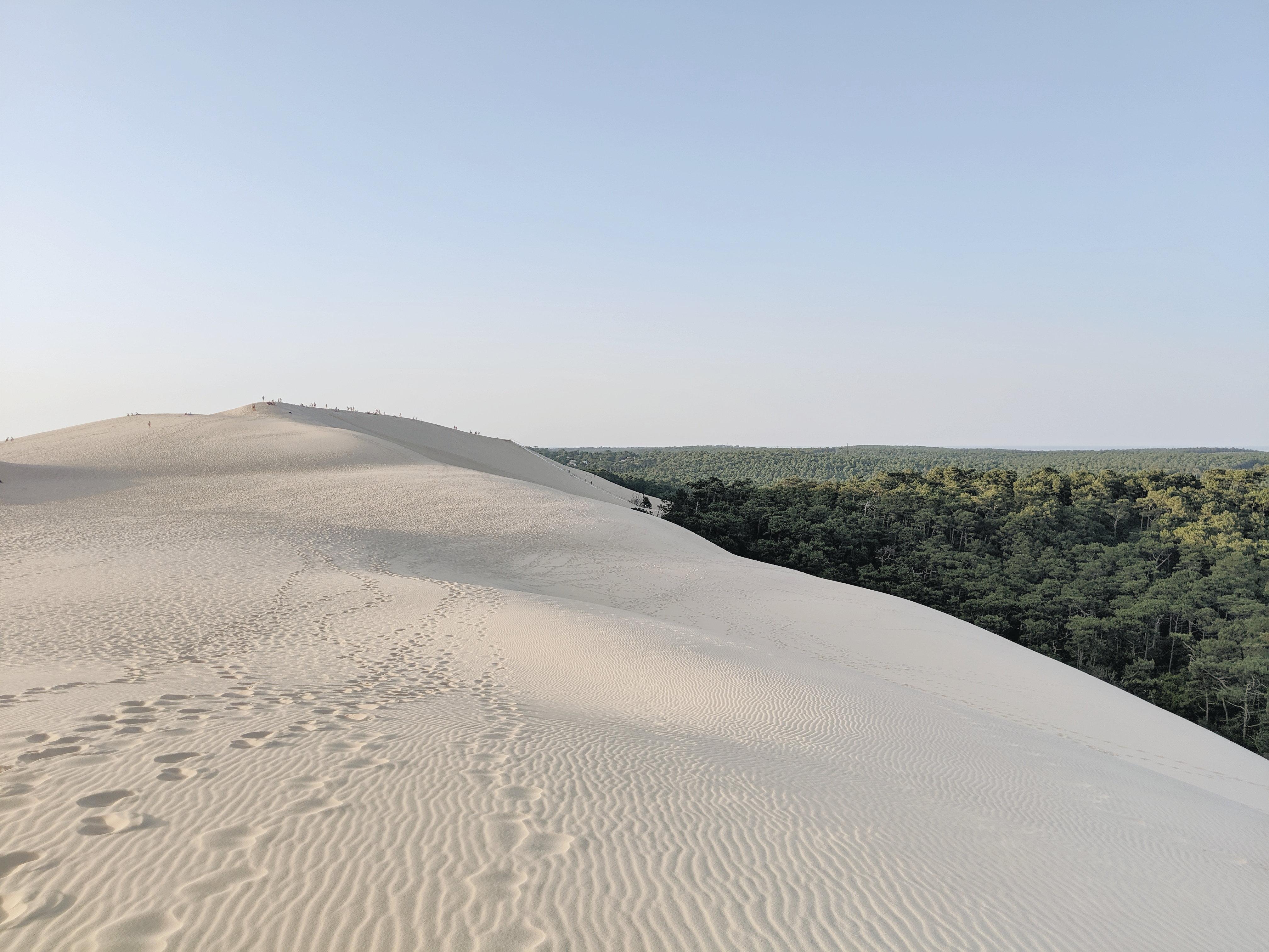 Intercontinental Bordeaux Le Grand Hotel By Ihg Exteriér fotografie The dunes at the park